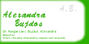 alexandra bujdos business card